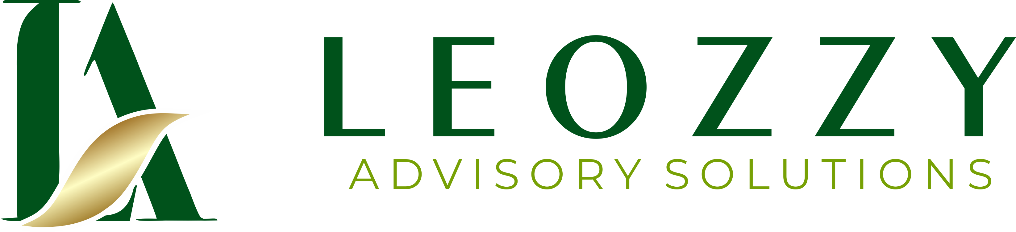 Leozzy Advisory Solutions